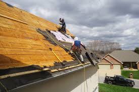 Best Roof Maintenance and Cleaning  in Chester, NY